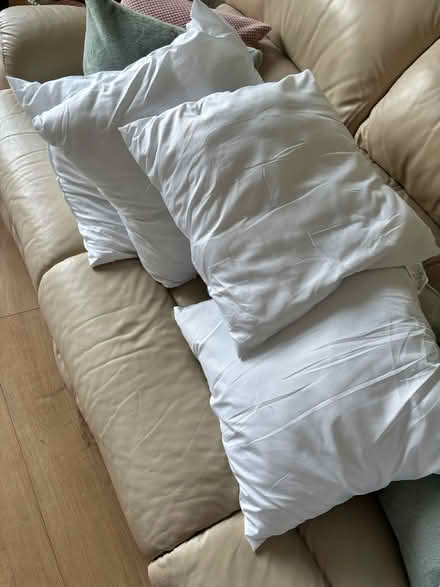 Photo of free 4 clean cushion pads (Stroud GL5) #1
