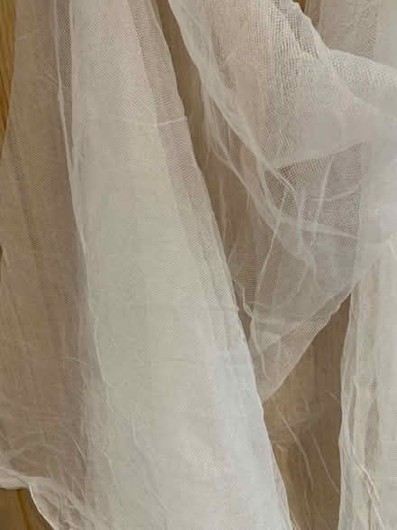 Photo of free Vintage veil: Bride of Dracula? (City Centre NR3) #2