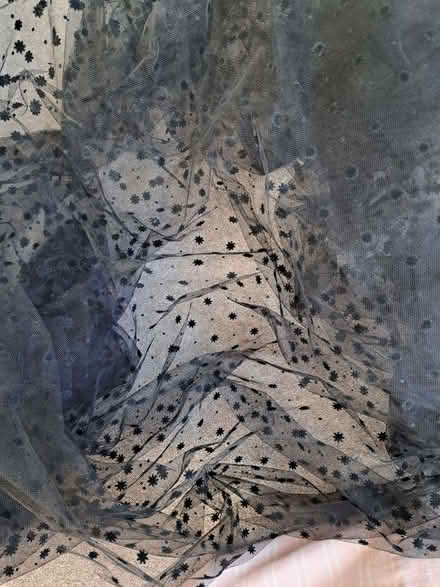 Photo of free Halloween dress net for costumes (Buggs Bottom RG4) #1