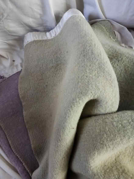Photo of free Wool blanket (Wellington Village) #2