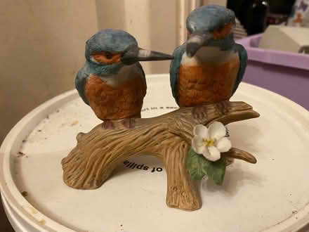 Photo of free China Ornament Kingfishers (Merry Hill WD23) #1