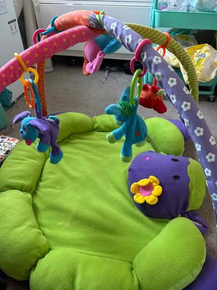 Photo of free Baby play mat (Plaistow E13) #2
