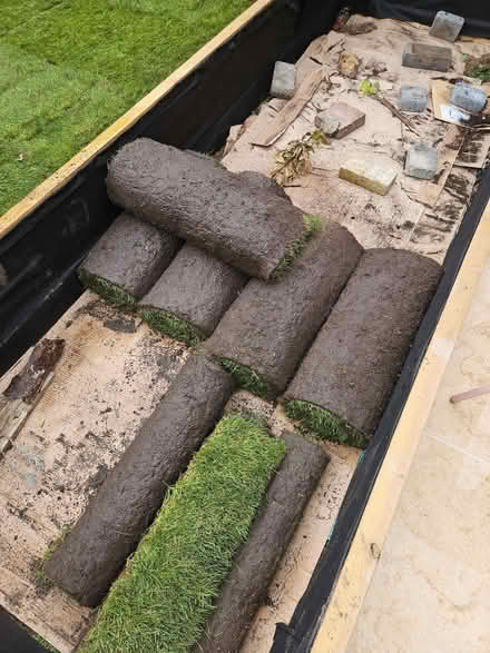 Photo of free 5 rolls of turf (Elmers End BR3) #1
