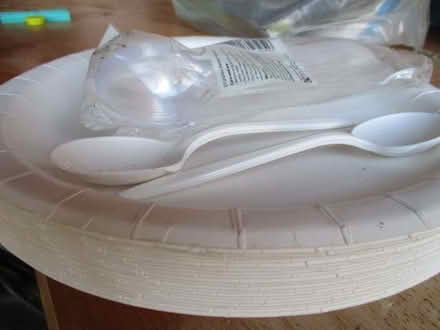 Photo of free Paper plates and plastic spoons (Innsworth GL3) #1