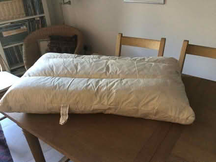 Photo of free Feathers - two large cushions (Christchurch Town Centre) #2