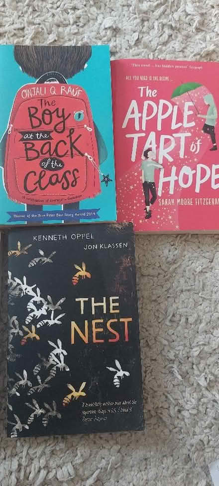 Photo of free Tweens books (Lower Weston BA1) #3