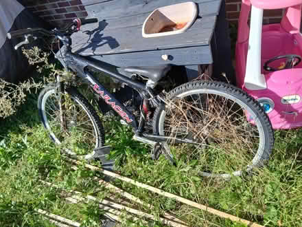 Photo of free Bike (Canford Heath, BH17 8) #1