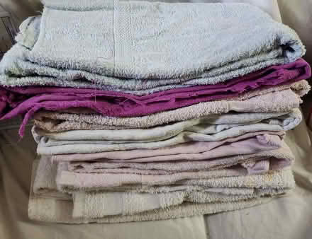 Photo of free More terry towels (Wellington Village) #1