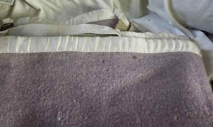 Photo of free Wool blanket (Wellington Village) #3