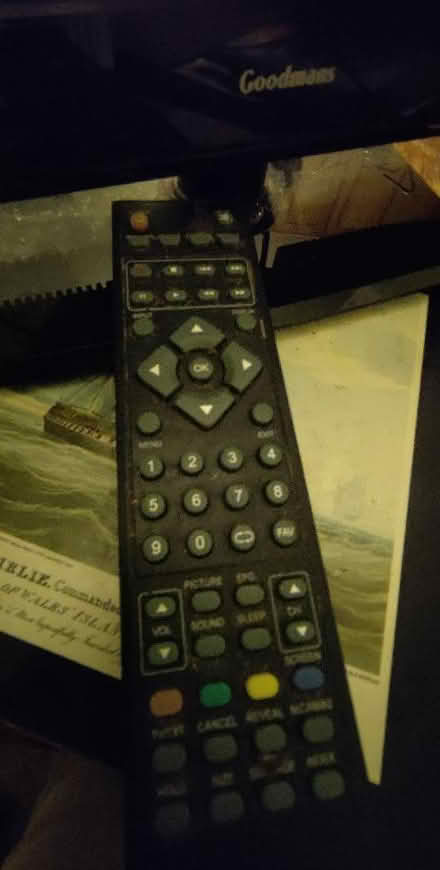 Photo of free Tv..goodmans plus remote (Bare LA4) #3