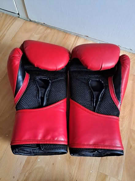 Photo of free Boxing gloves (Seaside BN22) #2