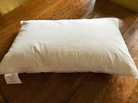 Photo of free Queen size down pillow (Civic Hospital near Hintonburg) #2