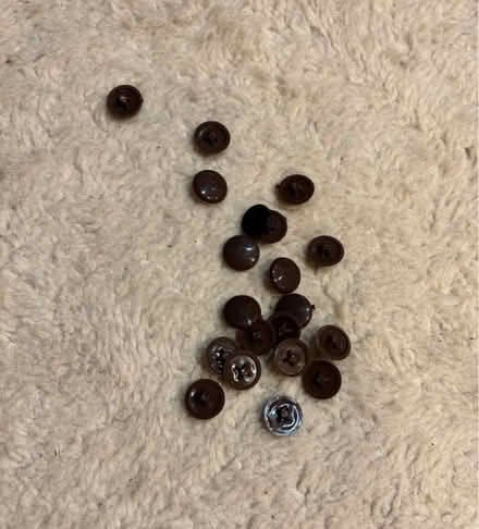 Photo of free Brown screw covers (Ware SG12) #1