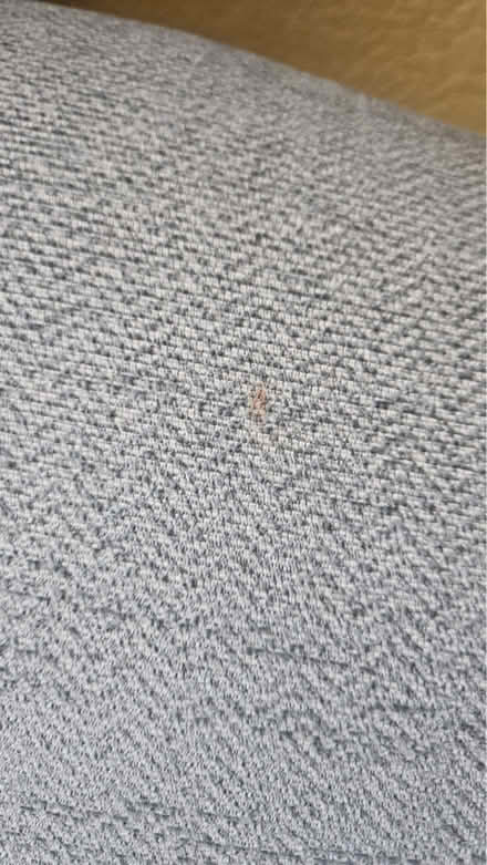 Photo of free Sofa & armchair with light blue herringbone pattern. (Rainhill L35) #3