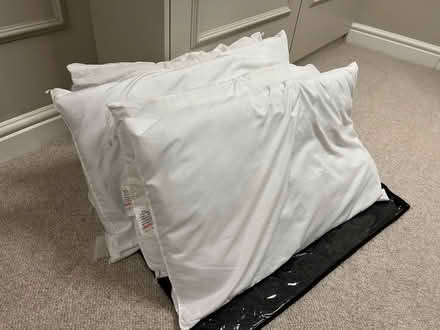 Photo of free 4 Pillows (Clapham North SW4) #1