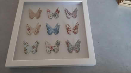 Photo of free luvly butterflies picture (peacehaven BN10) #2