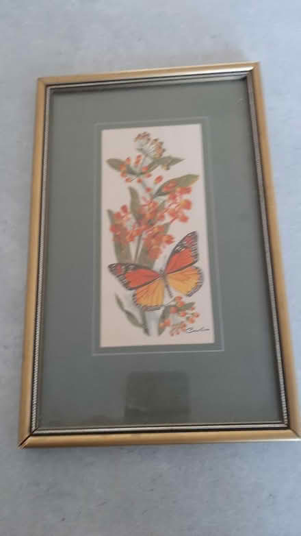 Photo of free butterfly picture (peacehaven BN10) #3