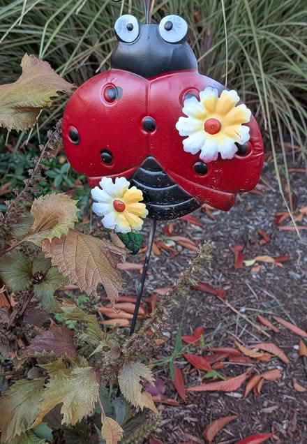 Photo of free decorative garden items (Anna st in Teaneck) #2