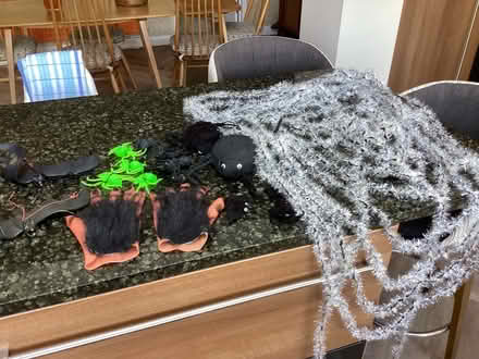 Photo of free Halloween decorations (Waterlooville PO8) #1