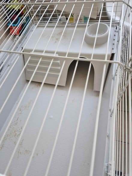 Photo of free Small animal cage (Haggerston N1) #3