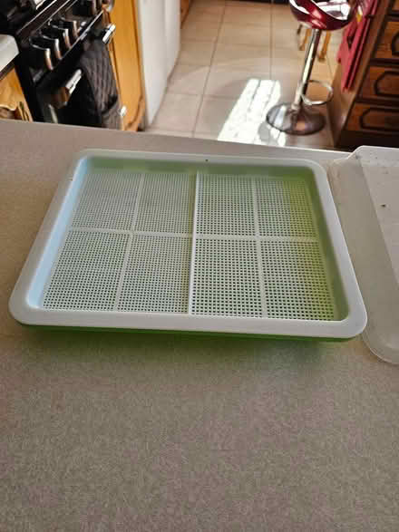 Photo of free Bean Sprout Propagator (Tiptree CO5) #2