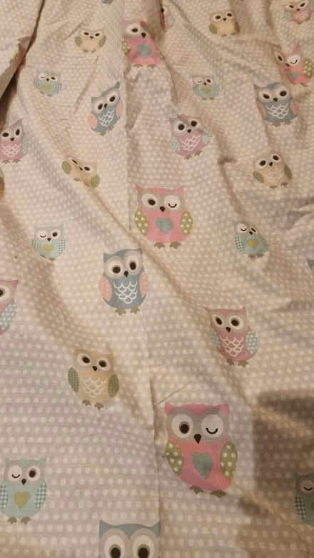 Photo of free Childrens owl patterned curtains (KT3 - Motspur Park) #2
