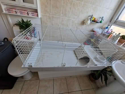 Photo of free Small animal cage (Haggerston N1) #1