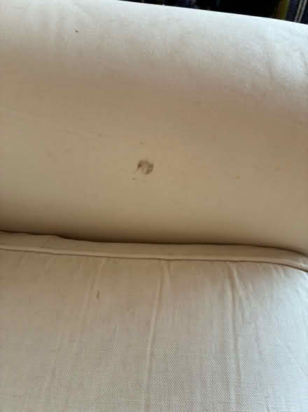 Photo of free giant comfy armchair (North Lancing BN15) #4