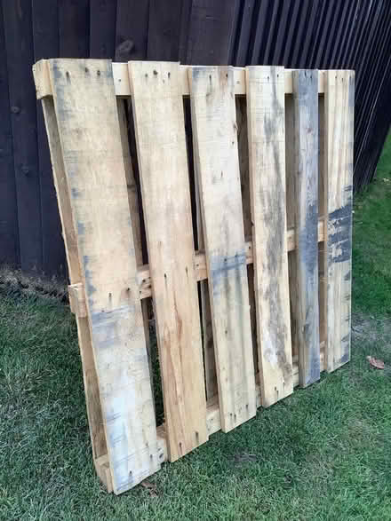 Photo of free Pallet (Knowle B93) #1
