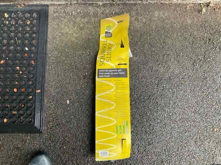 Photo of free Squirrel Slinky (Worlds End Burgess Hill RH15 0) #2