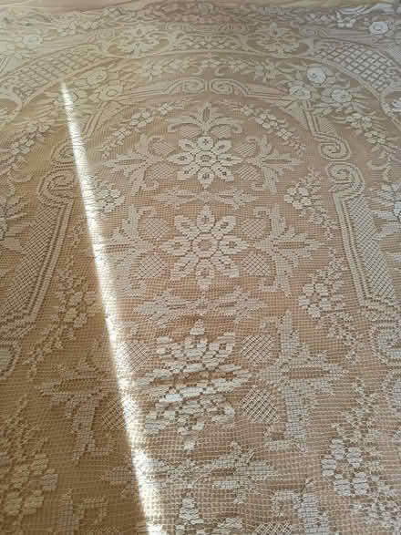 Photo of free Lace tablecloth (Exeter EX4) #2