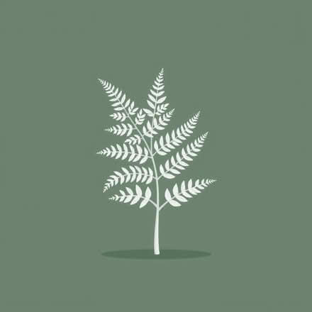 Photo of free FERN. A substantially sized fern but can be split. (Darley Abbey DE22) #1