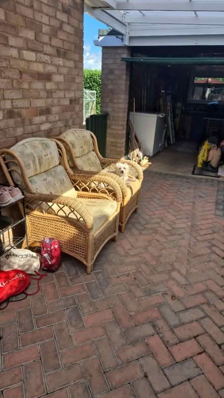 Photo of free Chairs (Abbeydale Gloucester GL4) #1