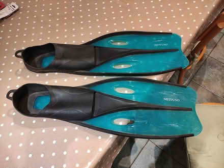 Photo of free XL (42-44) Swimming flippers (B67 5EH) #1