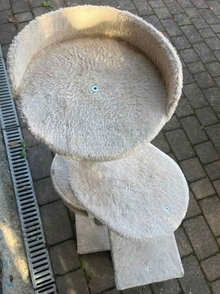 Photo of free cat tree (South Croydon CR2) #3