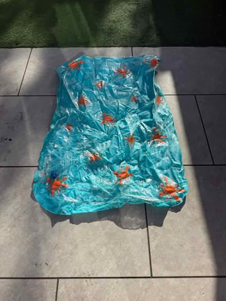 Photo of free Inflatable water mat (Balham) #2