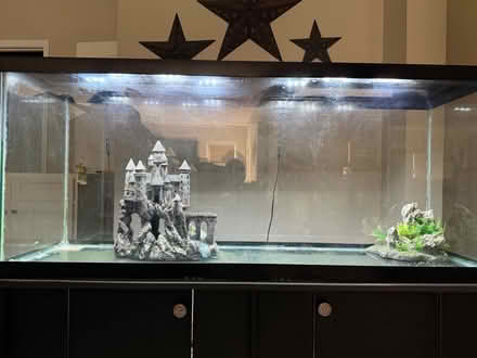 Photo of free Fish Tank (Lynchburg, VA) #1