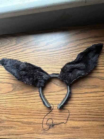 Photo of free Rabbit ears for Halloween (Hintonburg) #1