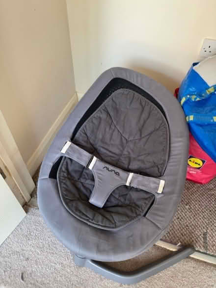 Photo of free Nuna leaf and playing Mat (Deer Park OX28) #2