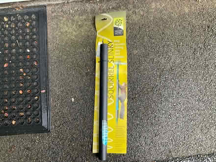 Photo of free Squirrel Slinky (Worlds End Burgess Hill RH15 0) #1
