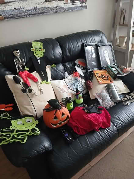 Photo of free Halloween bits (Coventry CV2) #4