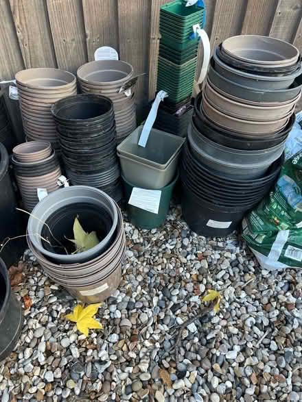 Photo of free Plastic plant pots for gardening (Maidenhead SL6) #1