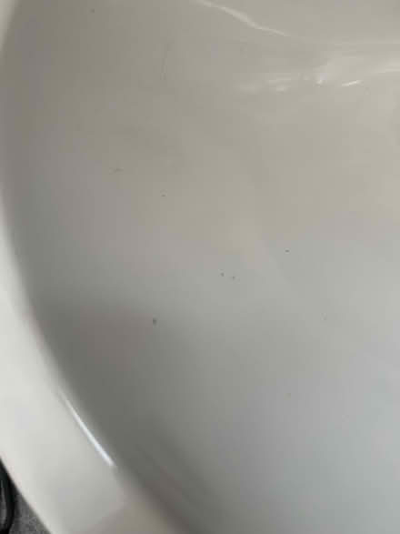 Photo of free Hand basin and pedestal (Norwich Nr2) #3