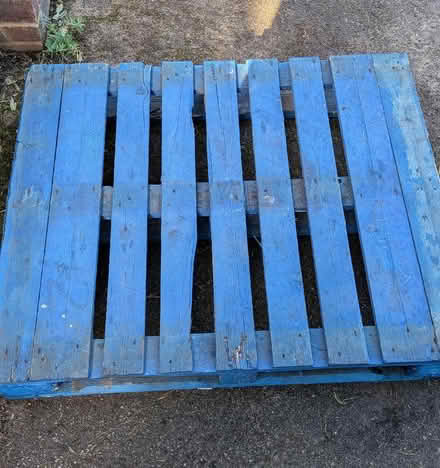 Photo of free Blue Pallet (Rudgwick RH12) #1