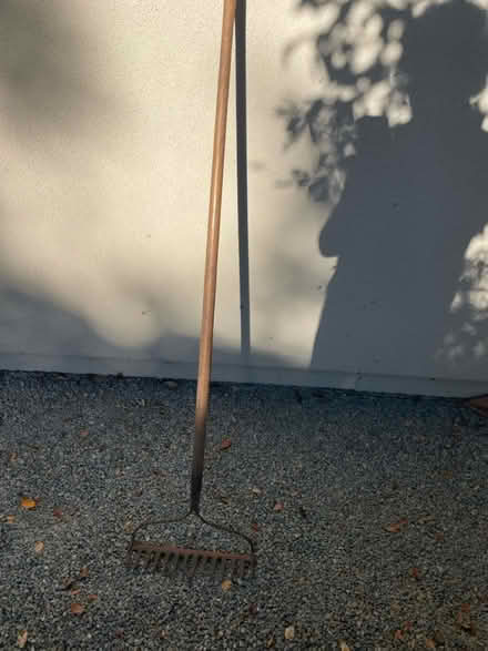 Photo of free Rake (Orinda) #2