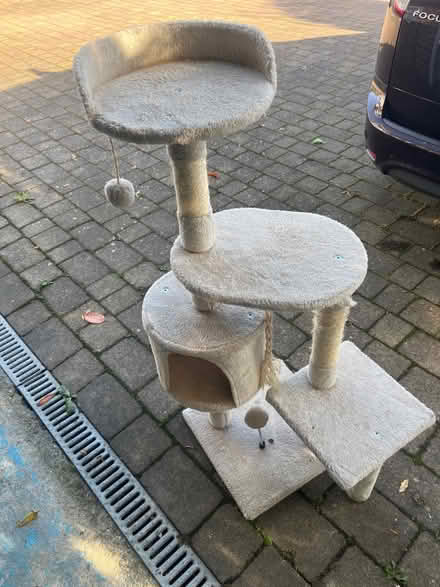 Photo of free cat tree (South Croydon CR2) #1