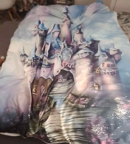 Photo of free Single duvet and duvet cover (Lion Gate TW9) #1