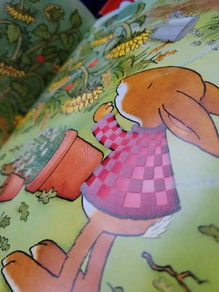 Photo of free 2 kids books (Feltham TW13) #4