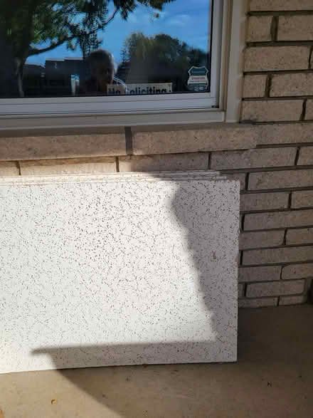 Photo of free ceiling tiles (14 Mile & Ryan) #1