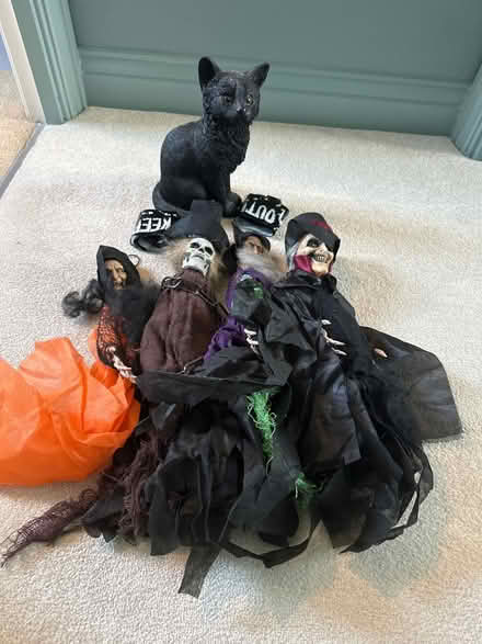 Photo of free Halloween stuff (Rothley) #1